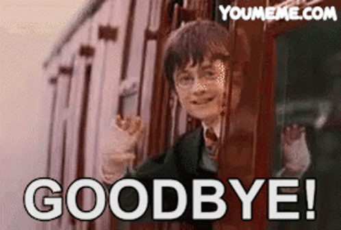 Harry Potter Waving Goodbye From Train Window