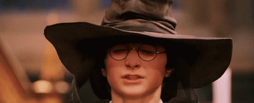 Harry Potter Wearing A Black Hat And Glasses GIF