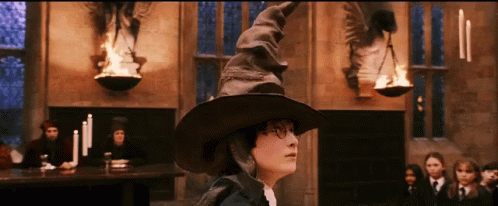 Harry Potter Wearing Sorting Hat GIF