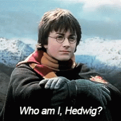Harry Potter Who Am I Hedwig GIF