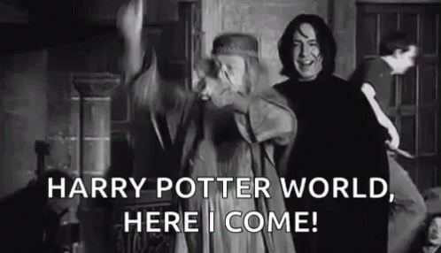 Harry Potter World Dumbledore GIF