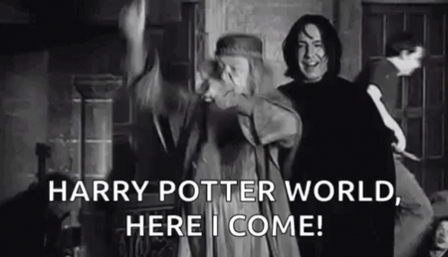 Harry Potter World Here I Come GIF