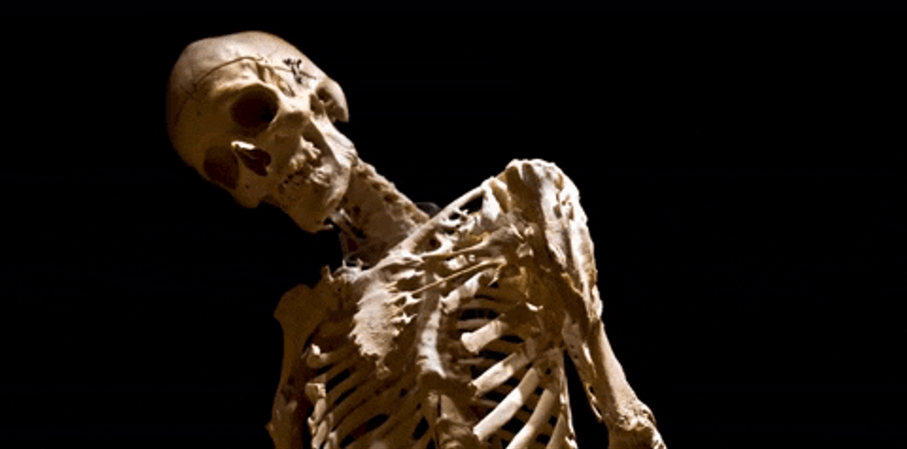 Harry's Skeleton Waiting For Years GIF