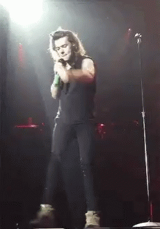 Harry Styles Concert GIF