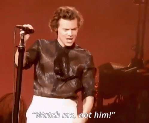 Harry Styles Narcissist Meme GIF