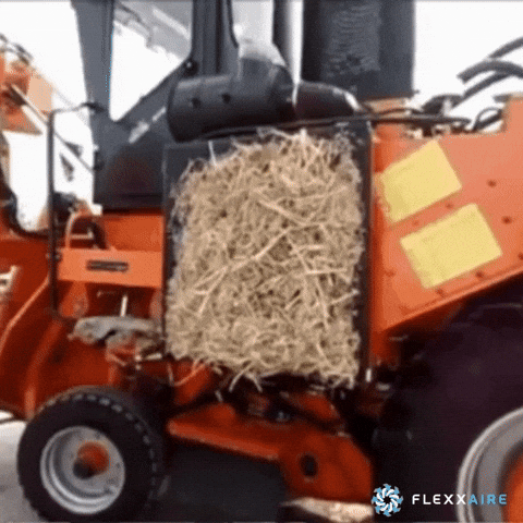 Harvest Sugarcane Farming GIF
