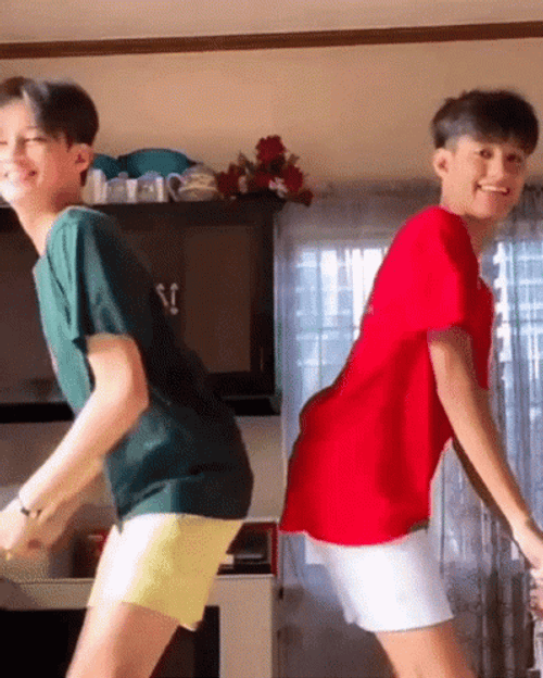 Harvey Fagarita Twins GIF