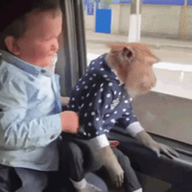 Hasbulla Cute Smile Funny Touching Monkey GIF