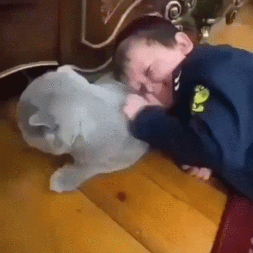 Hasbulla Lying Down Stroking Cat Pillow Sweet GIF