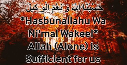 Hasbunallahu Wa Nimal Wakeel Forest GIF