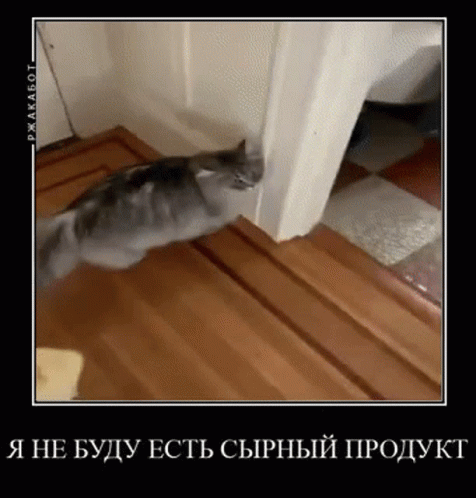 Hateful Slap Banana Cat Meme GIF