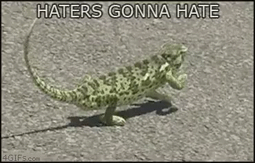 Haters Gonna Hate Dancing Lizard GIF