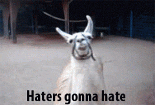 Haters Gonna Hate Llama Flipping GIF