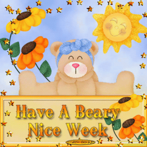 Have a Beary Nice Week Teddy Bear