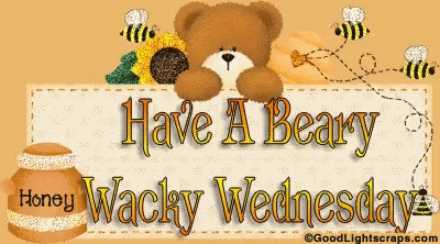 Have A Beary Wacky Wednesday GIF