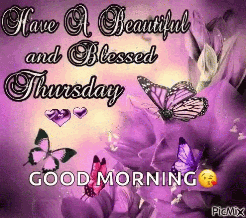 Have A Beautiful And Blessed Thursday Good Morning With Butterflies On Purple Flowers . GIF