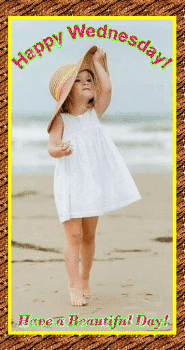 Have A Beautiful And Happy Wednesday GIF