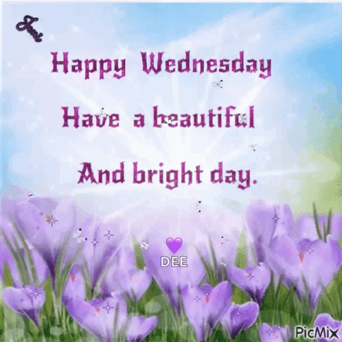 Have A Beautiful Bright And Happy Wednesday GIF