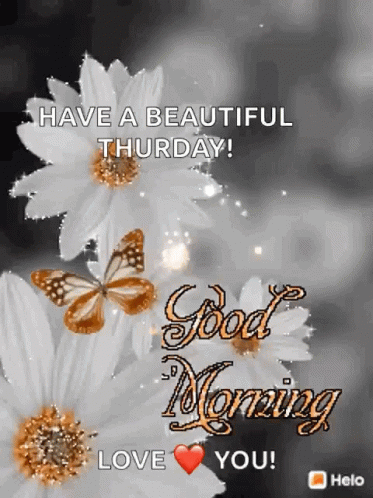 Have A Beautiful Thursday And Good Morning GIF