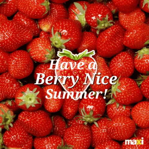 Have A Berry Nice Summer GIF