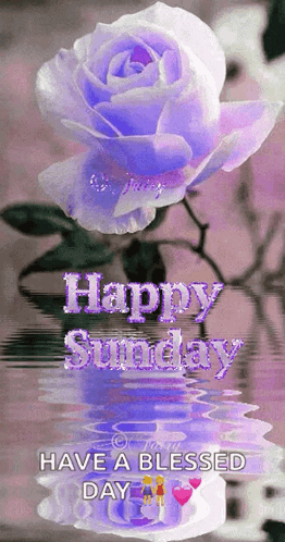 Have A Blessed Cute Sunday GIF