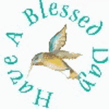 Have A Blessed Day Beautiful Bird GIF