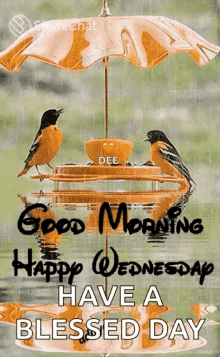 Have A Blessed Day Happy Wednesday GIF