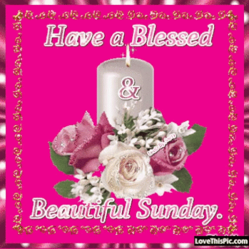 Have A Blessed Sunday Candle Flowers GIF