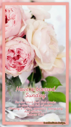 Have a Blessed Sunday