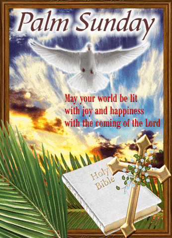 Have A Blessed Sunday Dove Light GIF