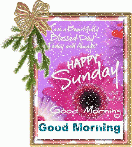 Have A Blessed Sunday Wonderful Day GIF
