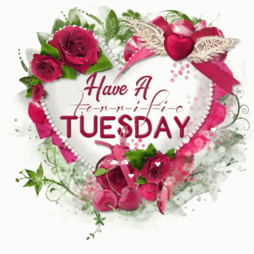 Have A Blessed Tuesday A Terrific Day GIF