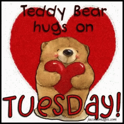 Have A Blessed Tuesday Teddy Bear Hugs GIF