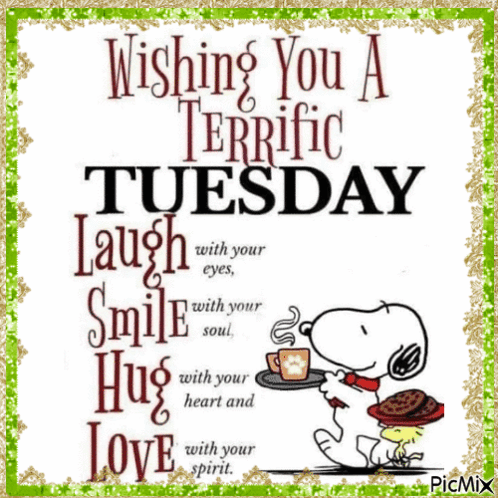 Have A Blessed Tuesday Wishing You Terrific Day GIF