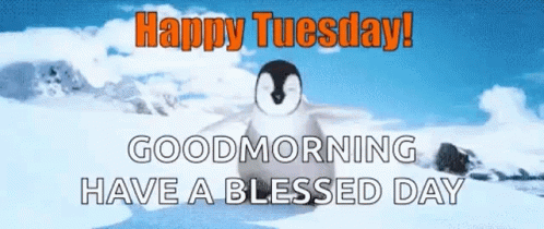 Have A Blessed Tuesday With Baby Penguins GIF