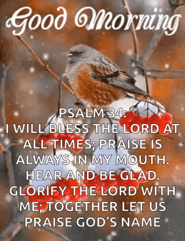 Have A Blessed Wednesday Bird On Snowy Branch GIF