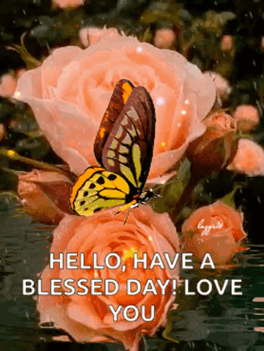 Have A Blessed Wednesday Butterfly On Peach Roses GIF