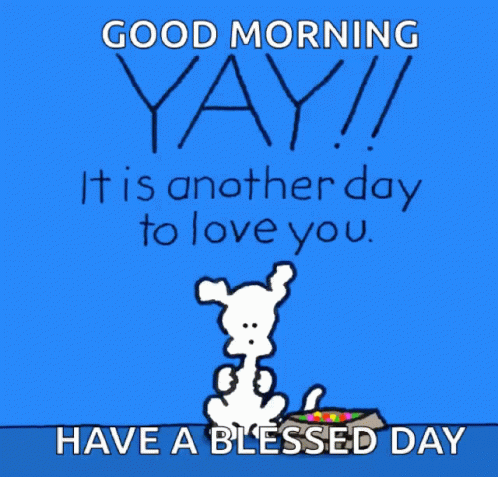 Have A Blessed Wednesday Chippy The Dog GIF