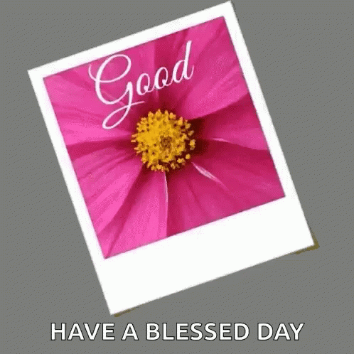 Have A Blessed Wednesday Pictures Of Flowers GIF
