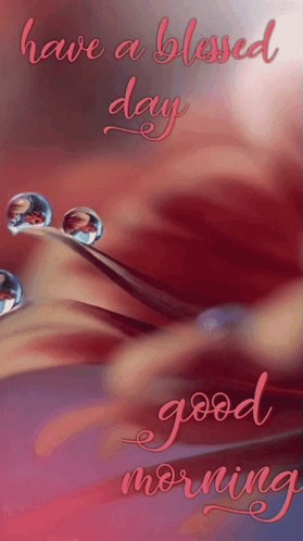 Have A Blessed Wednesday Rising Heart Bubbles GIF
