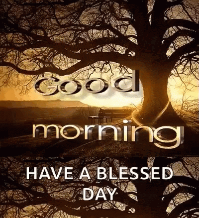 Have A Blessed Wednesday Tree Sunrise Silhouette GIF