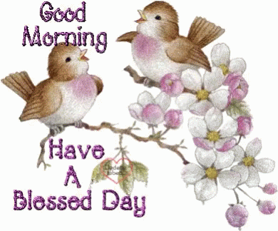 Have A Blessed Wednesday Two Birds On Branch GIF