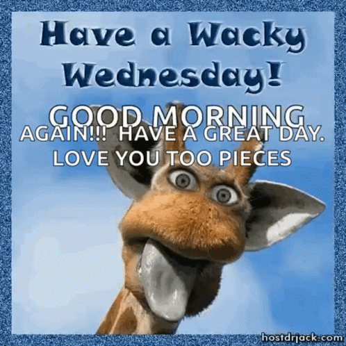 Have A Giraffe Wacky Wednesday GIF