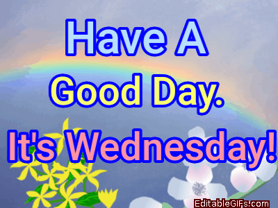 Have A Good Day Its Wednesday GIF