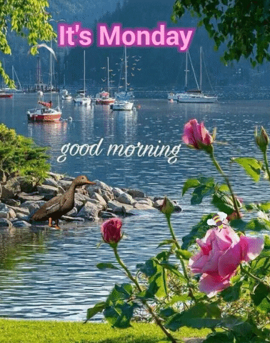 Have A Good Great Monday GIF