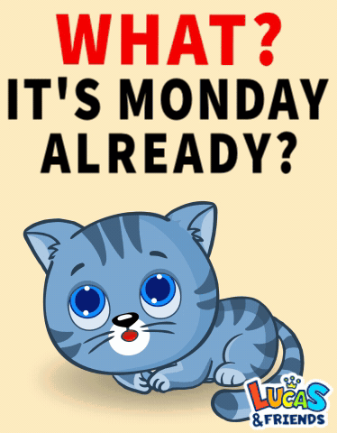 Have A Good Monday Awee Cat Sad GIF