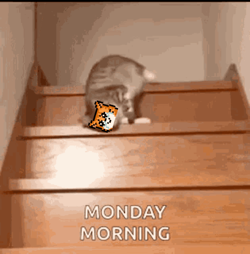 Have A Good Monday Cat On Stairs GIF