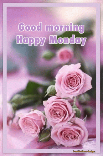 Have A Good Monday Pinky Roses GIF