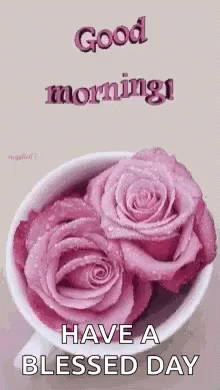 Have A Good Morning Blessing In Cup Of Flower GIF