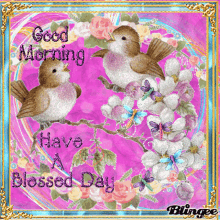 Have A Good Morning Blessing Tweety Bird GIF